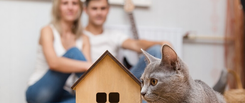 макет дома и кот