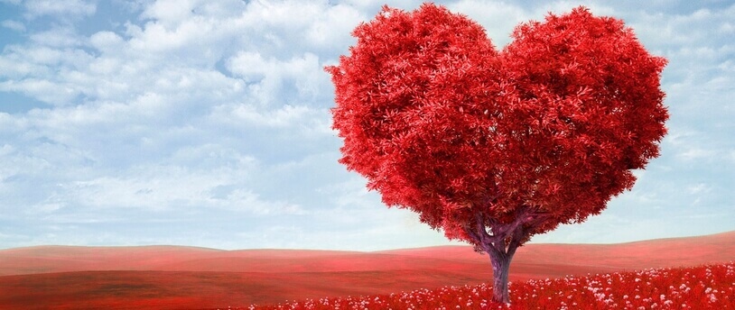 дерево в форме сердца