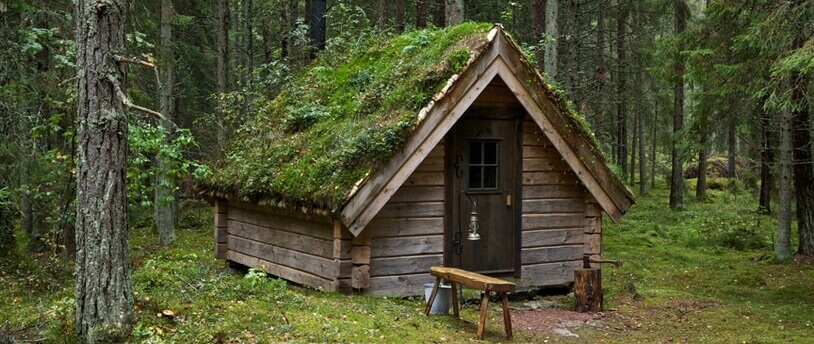 домик в лесу