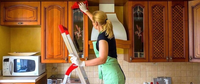 домохозяйка за работой
