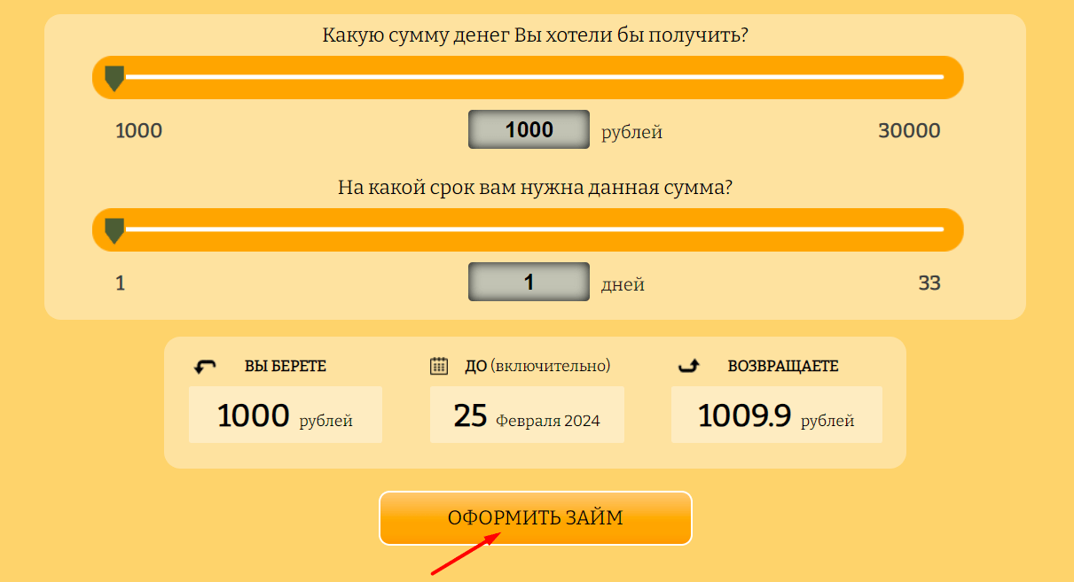 Скриншот формы оформления займа с сайта dengi003.ru