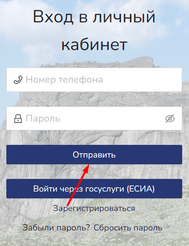 Скриншот окна входа в личный кабинет с сайта nordf.ru