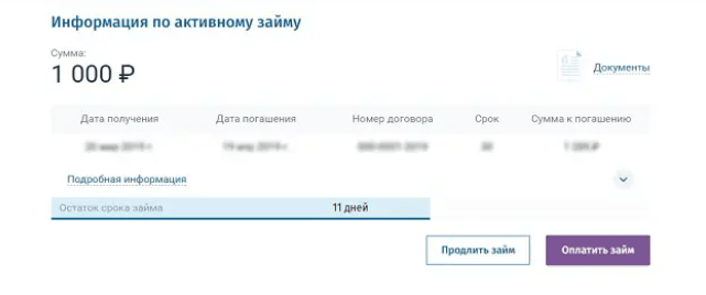 Скриншот оплаты через личный кабинет на сайте russkiedengi.ru