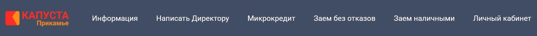 Скриншот Кнопка для входа в личный кабинет с сайта kapmfo.ru