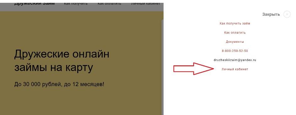 Скриншот меню главной страницы на сайте drugonline.ru
