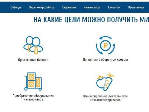 Скриншот вариантов получения займа с сайта microfond26.ru