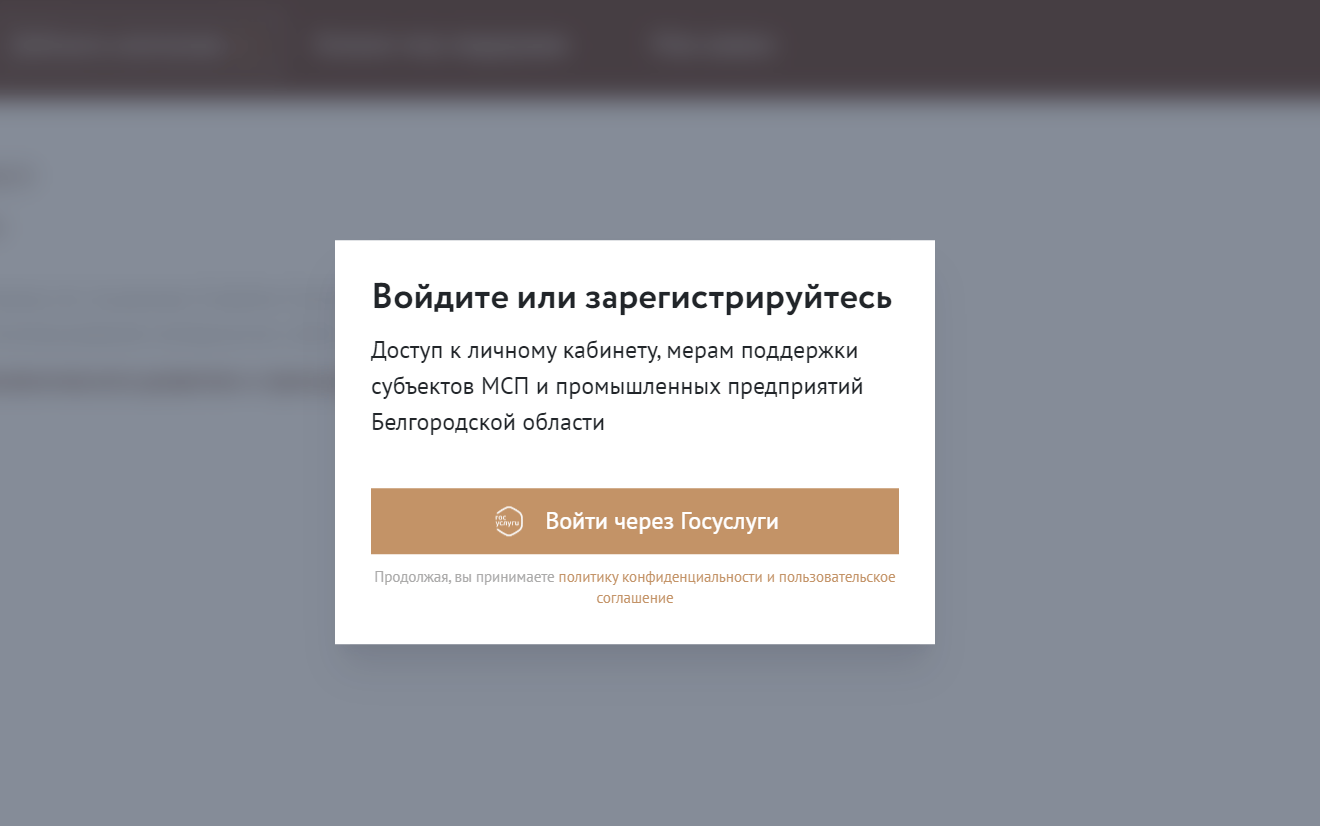 Скриншот входа в личный кабинет через сайт Госуслуги с сайта www.mb31.ru