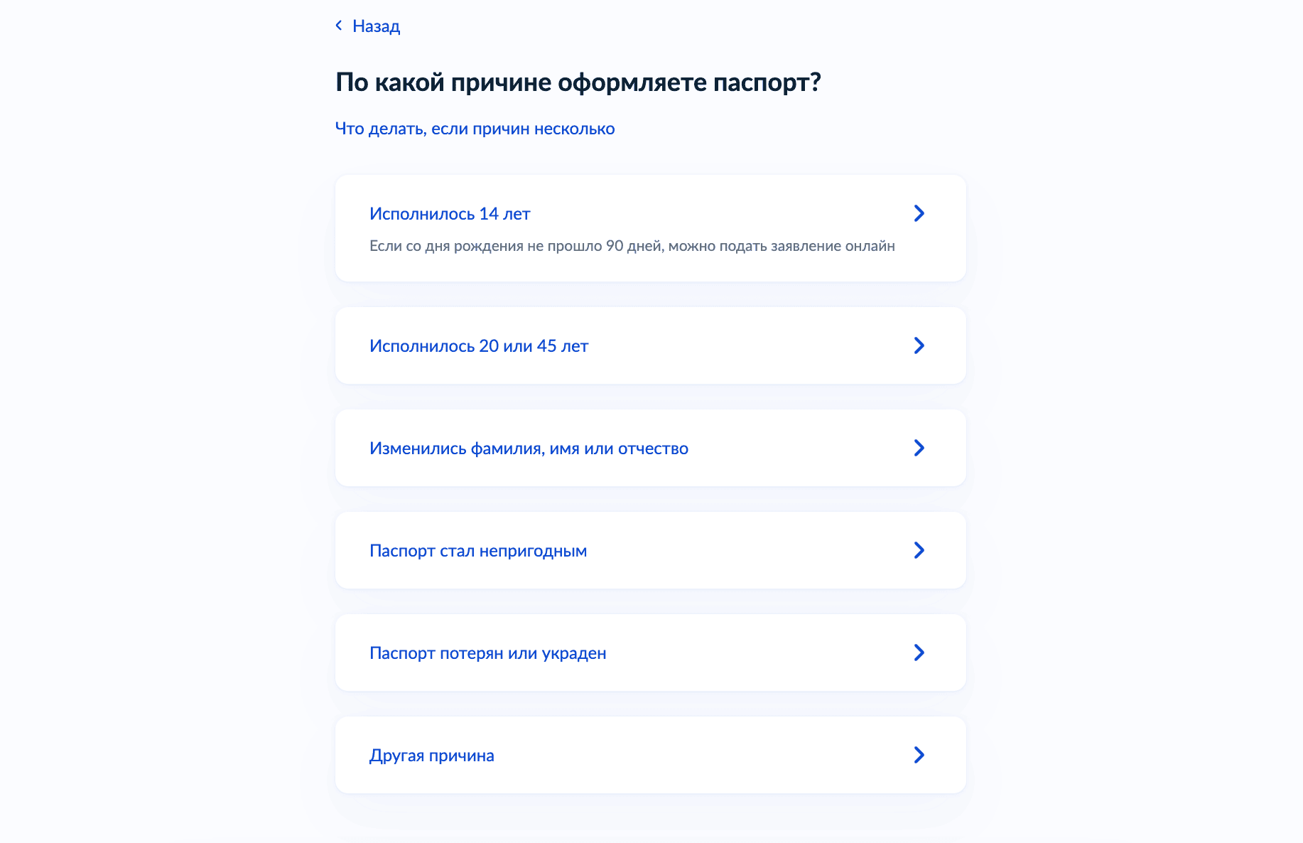 Подача заявления на получение паспорта РФ. Источник: Госуслуги