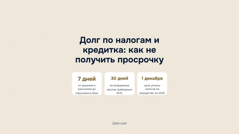 Долг по налогам и кредитная карта: почему деньги уходят ФНС и как не получить просрочку