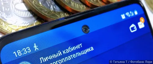 Депутаты предлагают увеличить порог максимального дохода самозанятых