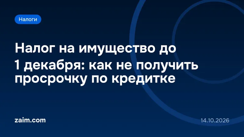 Налог на имущество до 1 декабря: как не получить просрочку по кредитке