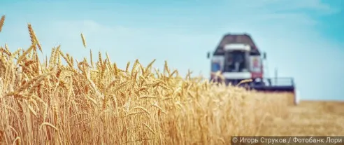 В сельском хозяйстве быстрее, чем в других сферах, росла средняя зарплата