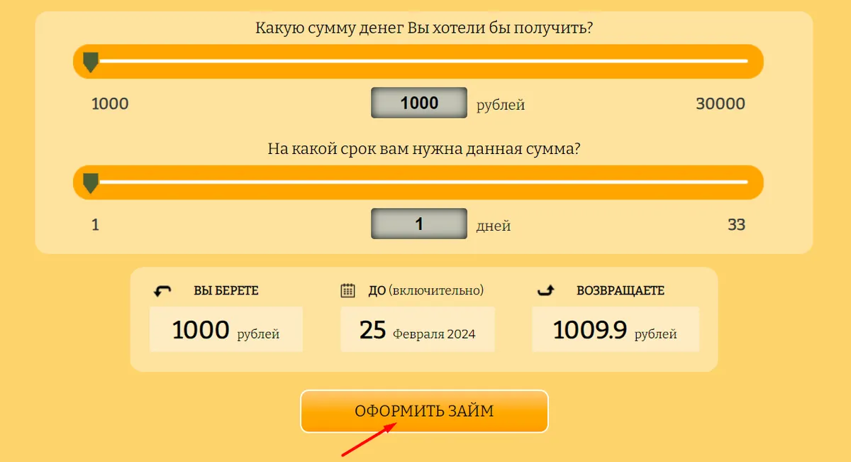 Скриншот формы оформления займа с сайта dengi003.ru