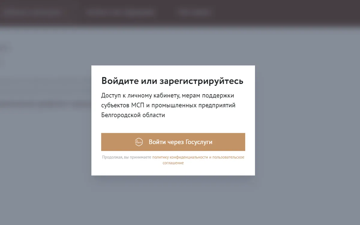 Скриншот входа в личный кабинет через сайт Госуслуги с сайта www.mb31.ru