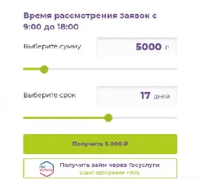 Скриншот времени рассмотрения заявки на займ с сайта polyzaim.ru