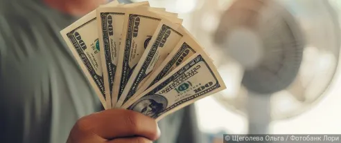 Представитель Госдумы рассказал о правах россиян при обмене долларов