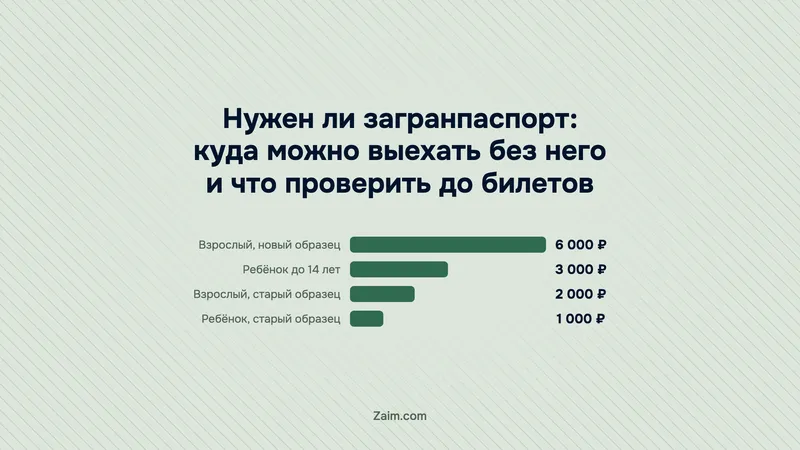 Нужен ли загранпаспорт: куда можно выехать без него и что проверить до билетов