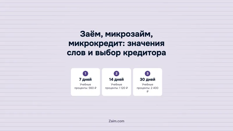 Заём, микрозайм, микрокредит: значения слов и выбор кредитора