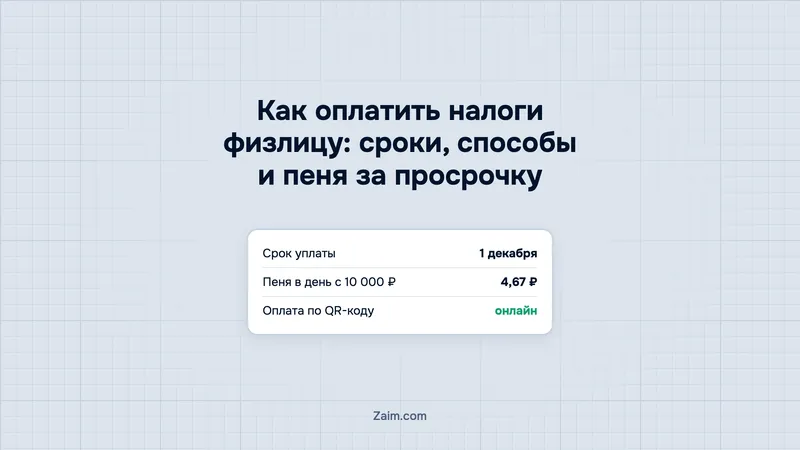 Как оплатить налоги физлицу: сроки, способы и пеня за просрочку