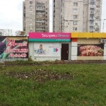 Павильон на Варейкиса