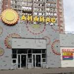 Торговый центр Ананас