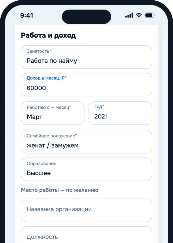 Экран анкеты: работа и доход